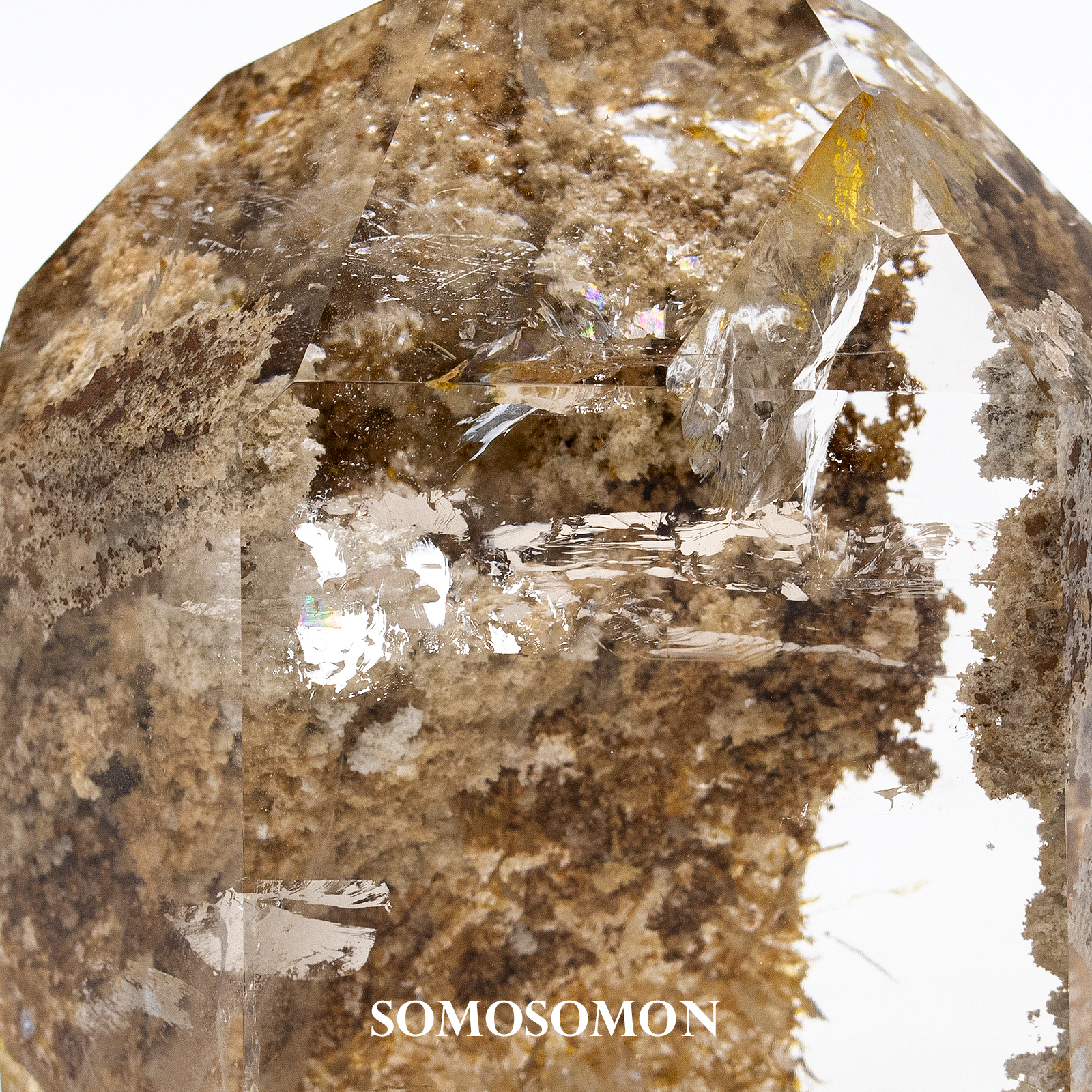 インクルージョン