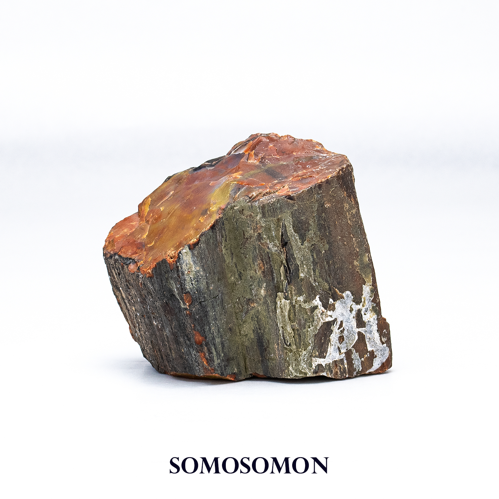 ペトリファイドウッド