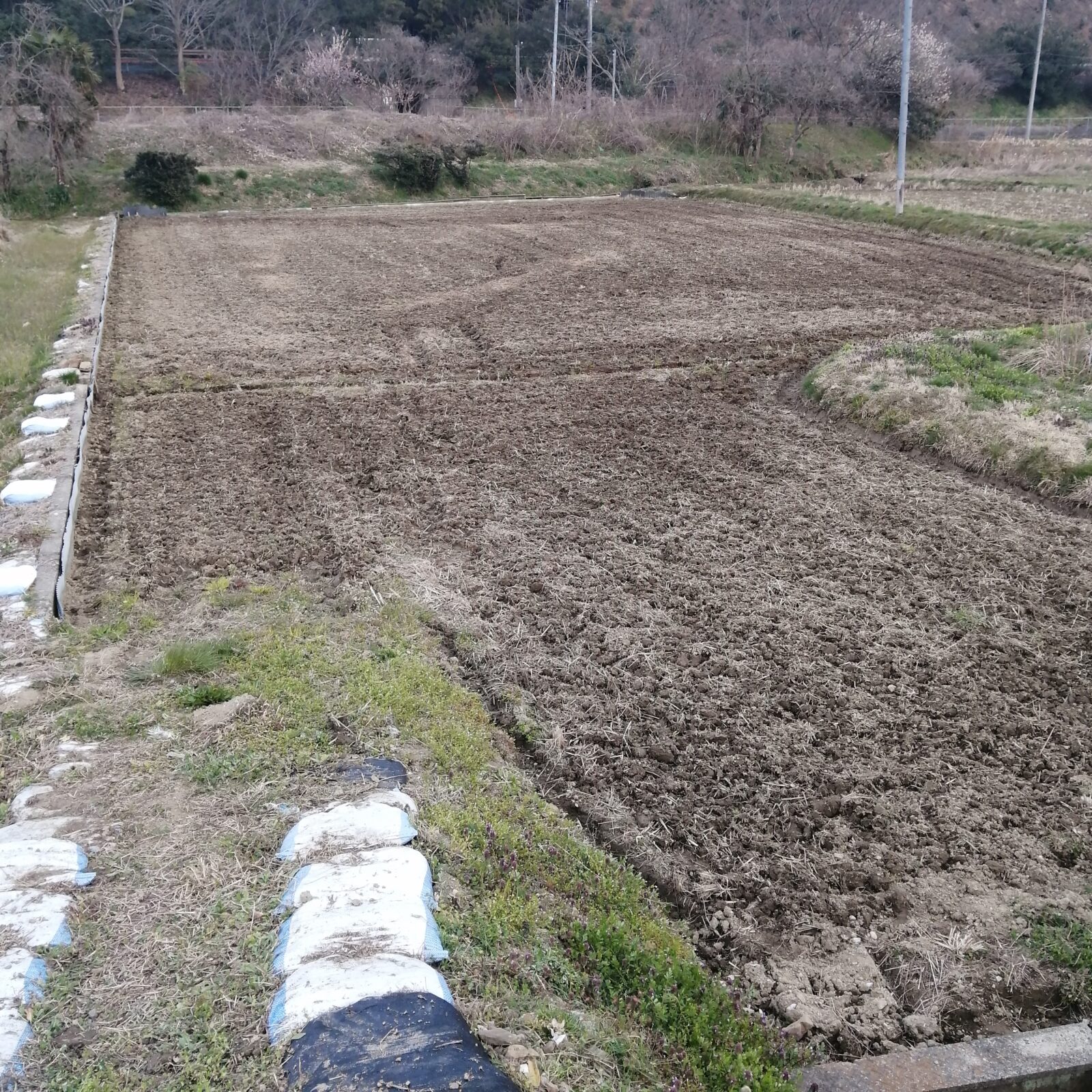 2026年3月24日春の耕うん