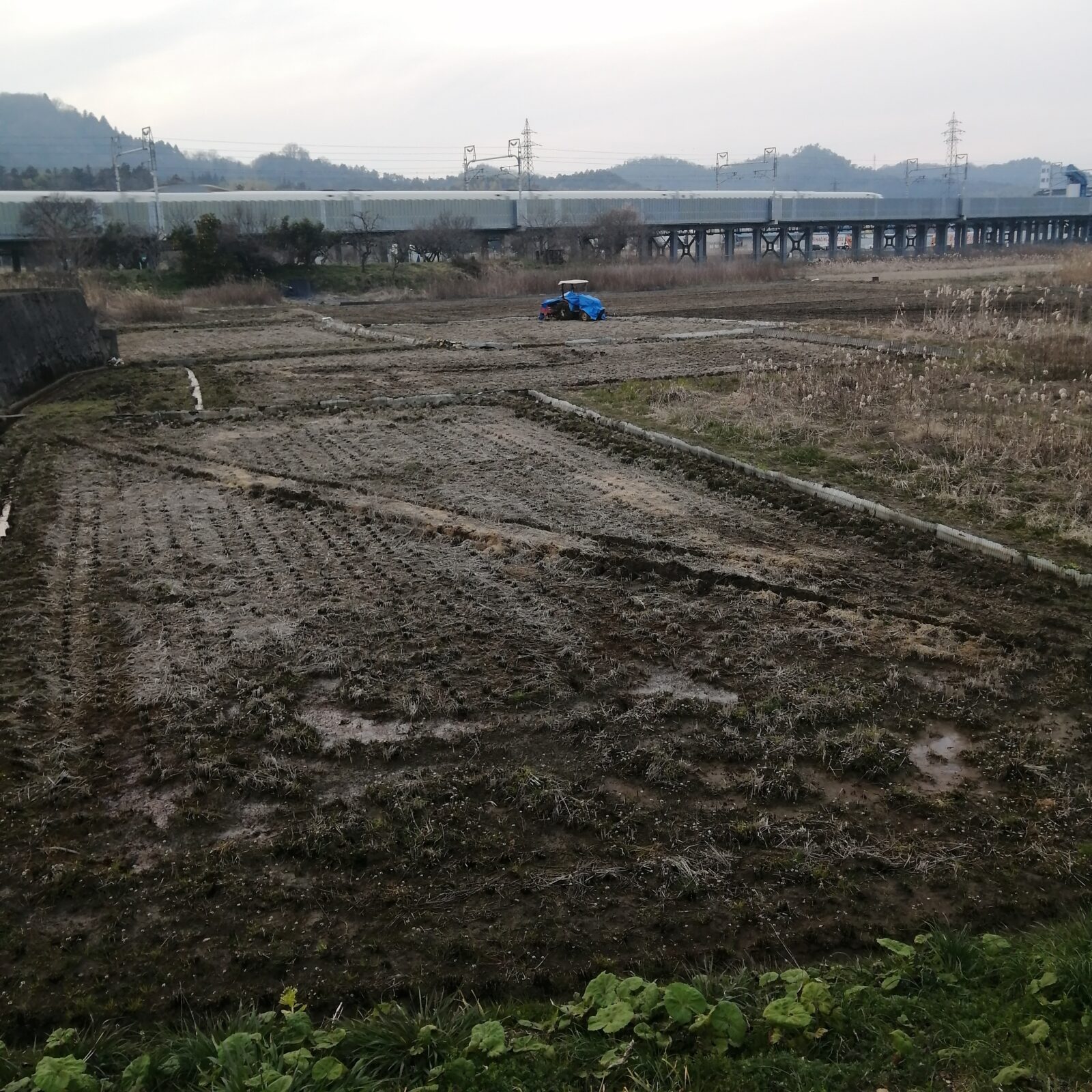 2026年3月24日春の耕うん